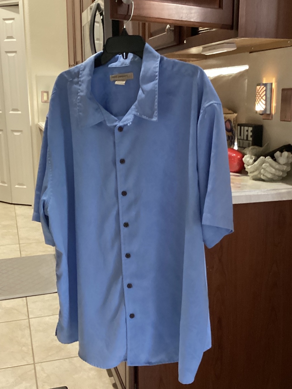 Passport Light Blue Short-Sleeve Button-Down Shirt.  31” in length